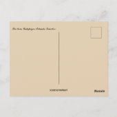 Seelöwe auf den Galapagos-Inseln Ecuador Postkarte (Rückseite)