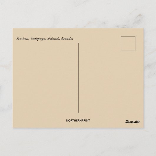 Seelöwe auf den Galapagos-Inseln Ecuador Postkarte (Rückseite)