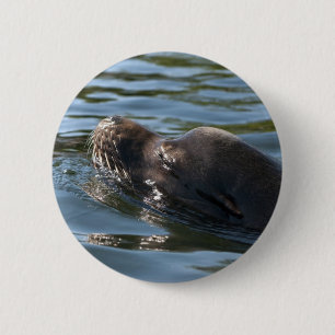 Seelöwe Button
