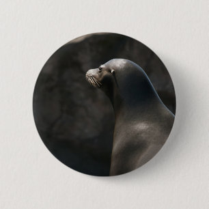 Seelöwe Button