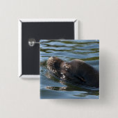 Seelöwe Button (Vorne & Hinten)