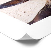 Seelöwe entspannt seine Nackenmuskeln Poster (Ecke)