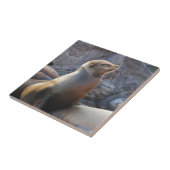 Seelöwe Fliese (Seite)