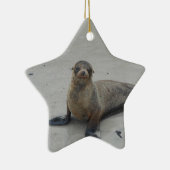 Seelöwe in den Galapagos-Inseln!! Keramik Ornament (Rechts)