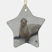 Seelöwe in den Galapagos-Inseln!! Keramik Ornament (Links)