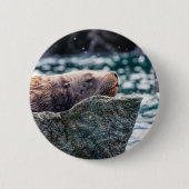 Seelöwe in der Auferstehungsbucht, Alaska Button (Vorderseite)