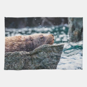 Seelöwe in der Auferstehungsbucht, Alaska Geschirrtuch