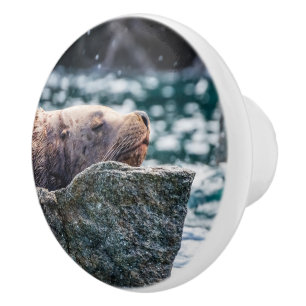 Seelöwe in der Auferstehungsbucht, Alaska Keramikknauf