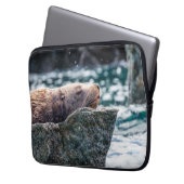 Seelöwe in der Auferstehungsbucht, Alaska Laptopschutzhülle (Vorderseite Links)