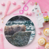 Seelöwe in der Auferstehungsbucht, Alaska Pappteller (Party)