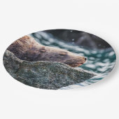 Seelöwe in der Auferstehungsbucht, Alaska Pappteller (Schrägansicht)