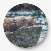 Seelöwe in der Auferstehungsbucht, Alaska Pappteller (Vorderseite)