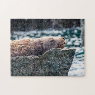Seelöwe in der Auferstehungsbucht, Alaska Puzzle