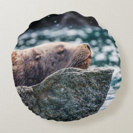 Seelöwe in der Auferstehungsbucht, Alaska Rundes Kissen