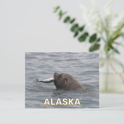 Seelöwe isst in Alaska einen Lachs Postkarte (Stehend Vorderseite)