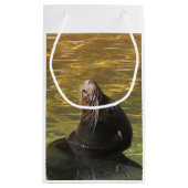 Seelöwe Kleine Geschenktüte (Rückseite)