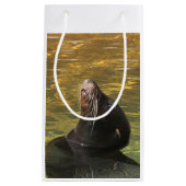 Seelöwe Kleine Geschenktüte (Vorderseite)