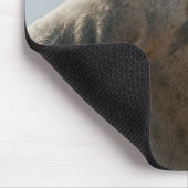 Seelöwe Mousepad (Ecke)
