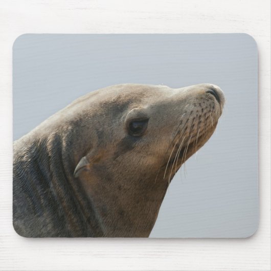 Seelöwe Mousepad (Vorne)