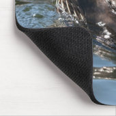 Seelöwe Mousepad (Ecke)