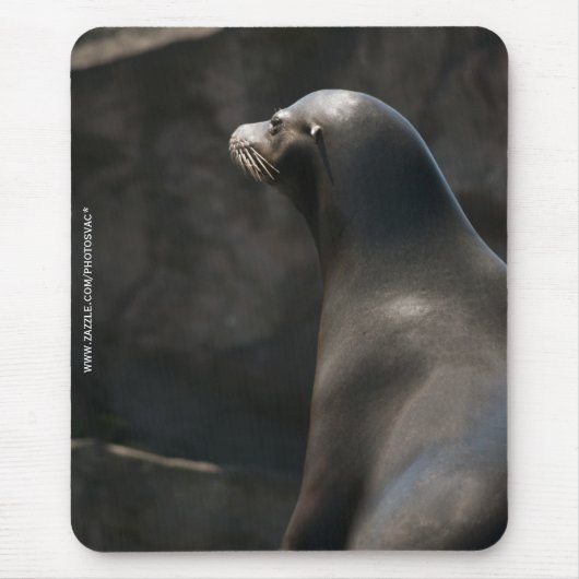 Seelöwe Mousepad (Vorne)