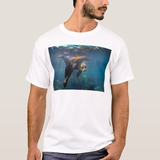 Seelöwe Mutter und Jungtiere unter Wasser Galapago T-Shirt (Vorderseite)