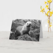 Seelöwe notecard karte (Gelbe Blume)