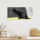 Seelöwe Poster (Küche)