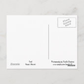 Seelöwe Postkarte (Rückseite)