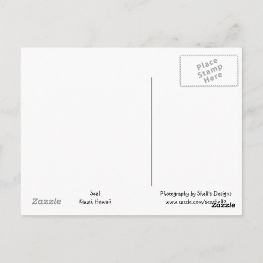 Seelöwe Postkarte (Rückseite)