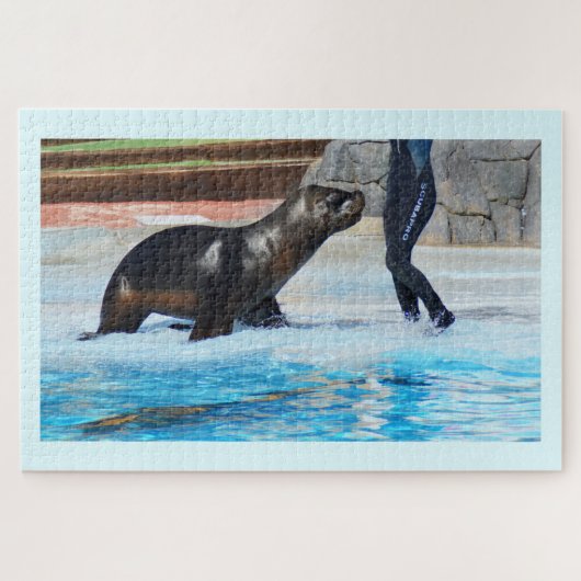 Seelöwe Puzzle (Horizontal)