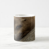 Seelöwe - Schlafende Wildtiere Fotografie Kaffeetasse (Mittel)