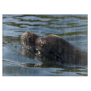 Seelöwe Schneidebrett