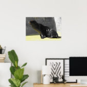 Seelöwe sitzend poster (Heimbüro)