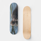 Seelöwe Skateboard (Vorderseite)