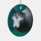 Seelöwe Smithsonian | Keramikornament (Rechts)