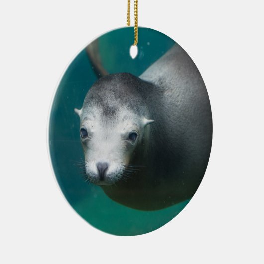 Seelöwe Smithsonian | Keramikornament (Rechts)