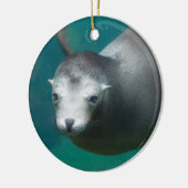 Seelöwe Smithsonian | Keramikornament (Links)