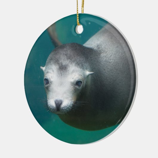 Seelöwe Smithsonian | Keramikornament (Links)