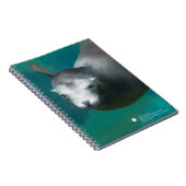 Seelöwe Smithsonian | Notizblock (Rechte Seite)