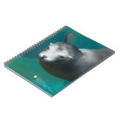 Seelöwe Smithsonian | Notizblock (Linke Seite)