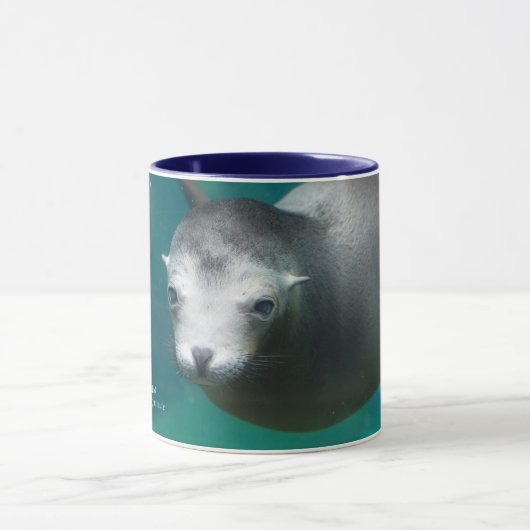 Seelöwe Smithsonian | Tasse (Zentrum)