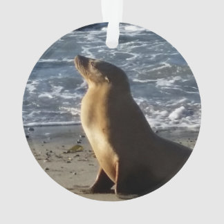 Seelöwe-Weihnachtsverzierung Ornament