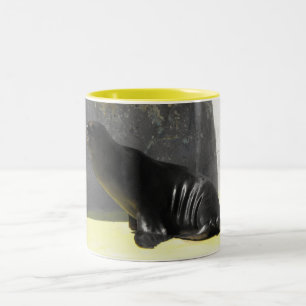 Seelöwe Zweifarbige Tasse