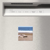 Seelöwen am Strand Magnet (In Situ (Geschirrspüler))