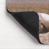 Seelöwen am Strand Mousepad (Ecke)