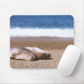 Seelöwen am Strand Mousepad (Mit Mouse)