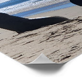Seelöwen am Strand Poster (Ecke)