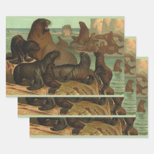 Seelöwen am Strand, Vintage Meeresleben Tier Geschenkpapier Set
