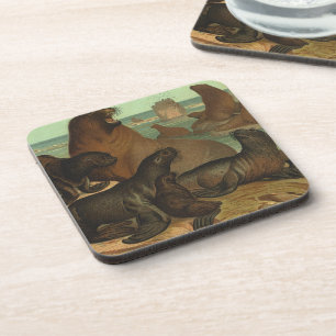 Seelöwen am Strand, Vintage Meeresleben Tier Getränkeuntersetzer